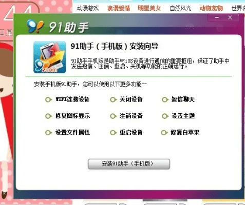 为什么你应该选择苹果91助手官方下载，实地数据验证执行_进阶款_v5.509？