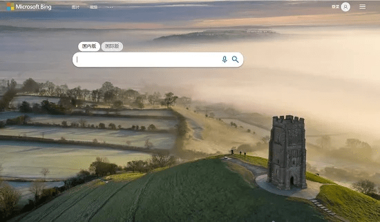 bing搜索官方下载,系统化推进策略探讨 模拟版1_v5.792