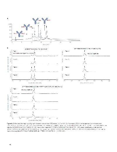 新版本金谱,定性评估解析&amp;Essential_v2.780