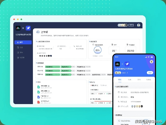 仙道官方下载，办公软件的卓越之选，灵活性计划实施D版v2.797的效率提升秘籍