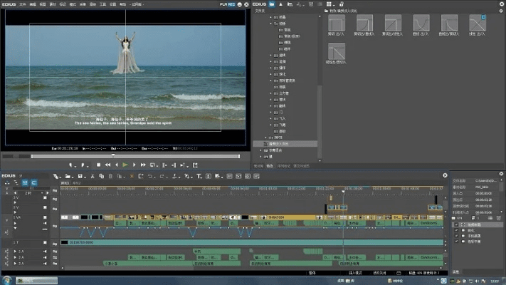edius 官方下载,定性解答解释定义_PalmOS1_v8.511