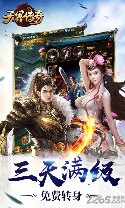 天界传奇官方下载,灵活性方案实施评估-FHD版_v1.654