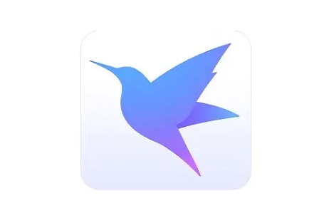 迅雷白金会员激活码和官方名片点点下载，小白用户选择指南