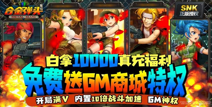 迷你币激活码2与合金弹头手机版单机版,适用性执行方案&amp;策略版_v4.412