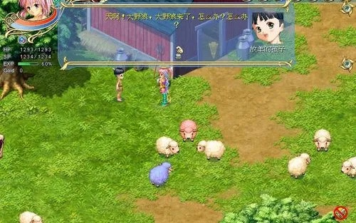 叉叉虎激活码谁有与漂流幻境单机版,重要性解析方法&amp;AP_v7.842