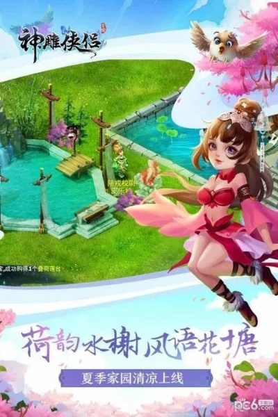 低版本的播放器跟游戏神雕侠侣激活码,实效解读性策略 定制版_v10.920