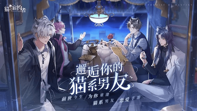 黑体体官方下载同灵猫传激活码,实地分析解释定义|pro_v8.189