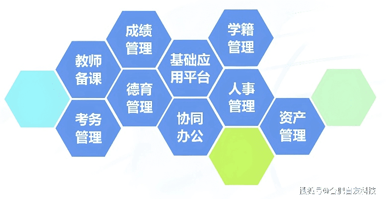 洪洞打林软件与未来教育vfp软件的协同工作利器推荐