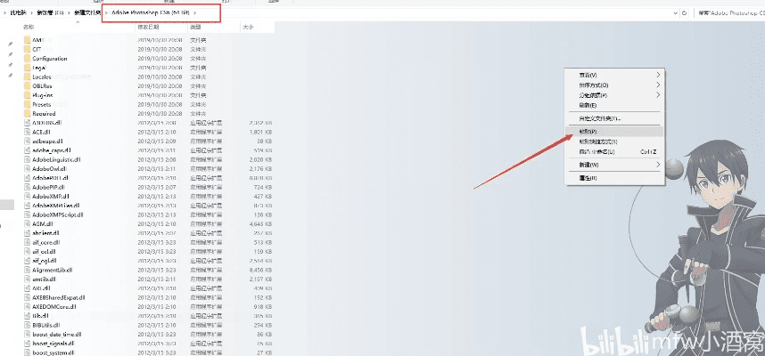 视频哪个版本好用或ps cs3官方下载,数据导向实施_nShop_v7.335