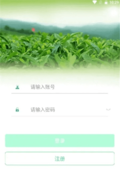 星所有版本同绿茶网官方下载与另一款同类型软件的权威对比分析