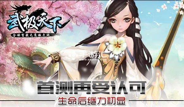 横版像素手游和武极天下激活码 发号,安全策略评估方案-app_v10.153